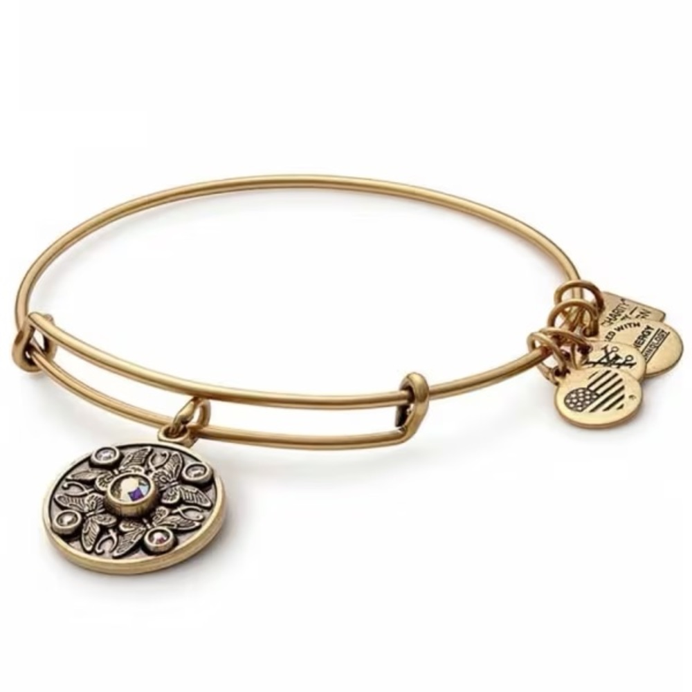 Alex and Ani Wings of Change Charm Bangle Bracelet Rafaelian Gold